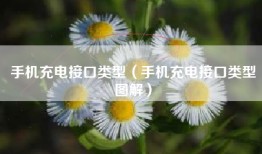 手机充电接口类型（手机充电接口类型图解）