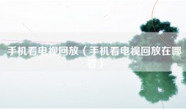 手机看电视回放（手机看电视回放在哪看）