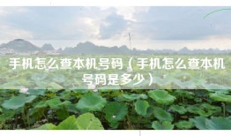 手机怎么查本机号码（手机怎么查本机号码是多少）
