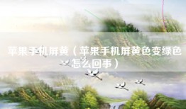 苹果手机屏黄（苹果手机屏黄色变绿色怎么回事）