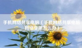 手机网络共享电脑（手机网络共享电脑网络受限怎么办）