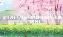 空号的手机号码（空号的手机号码还能补回来吗）