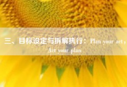 三、目标设定与拆解执行：Plan your act，Act your plan