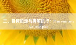 三、目标设定与拆解执行：Plan your act，Act your plan