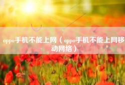 oppo手机不能上网（oppo手机不能上网移动网络）