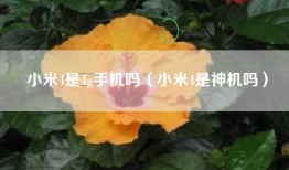 小米4是4g手机吗（小米4是神机吗）