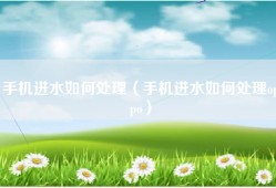 手机进水如何处理（手机进水如何处理oppo）