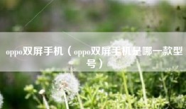 oppo双屏手机（oppo双屏手机是哪一款型号）