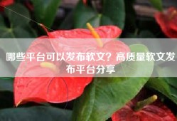 哪些平台可以发布软文？高质量软文发布平台分享