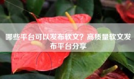 哪些平台可以发布软文？高质量软文发布平台分享