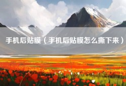 手机后贴膜（手机后贴膜怎么撕下来）