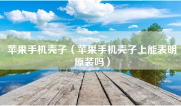 苹果手机壳子（苹果手机壳子上能表明原装吗）