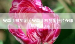 安卓手机加密（安卓手机加密照片在哪里找到）