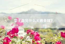 李子柒凭什么火遍全球？