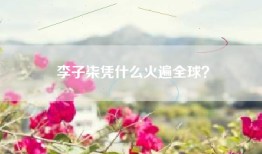 李子柒凭什么火遍全球？