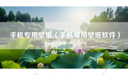 手机专用壁纸（手机专用壁纸软件）