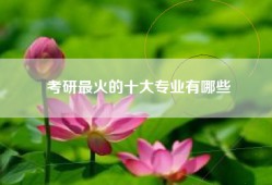考研最火的十大专业有哪些