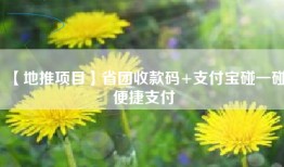 【地推项目】省团收款码+支付宝碰一碰便捷支付