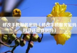 修改手机服务密码（修改手机服务密码网贷还能查到吗）