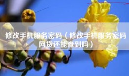 修改手机服务密码（修改手机服务密码网贷还能查到吗）