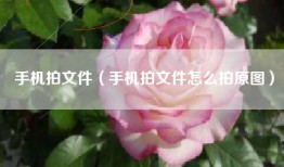 手机拍文件（手机拍文件怎么拍原图）