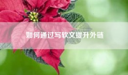如何通过写软文提升外链