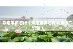 索尼手机怎样（索尼手机怎样恢复出厂设置）