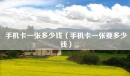手机卡一张多少钱（手机卡一张要多少钱）