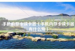 手机内存卡读卡器（手机内存卡读卡器有什么用）