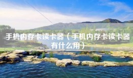 手机内存卡读卡器（手机内存卡读卡器有什么用）