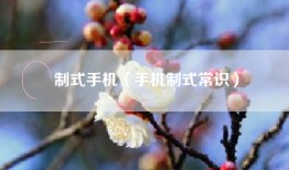 制式手机（手机制式常识）