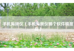 手机海拔仪（手机海拔仪哪个软件精度高）