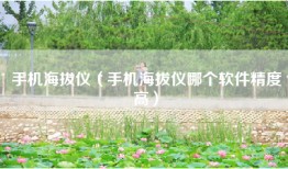 手机海拔仪（手机海拔仪哪个软件精度高）