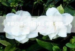 手机阅读pdf的软件（手机 阅读pdf）