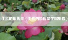 手机的销售量（手机的销售量在哪里看）