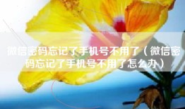 微信密码忘记了手机号不用了（微信密码忘记了手机号不用了怎么办）