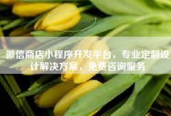 微信商店小程序开发平台，专业定制设计解决方案，免费咨询服务