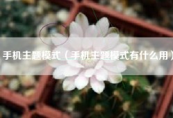 手机主题模式（手机主题模式有什么用）
