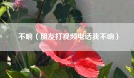 不响（朋友打视频电话我不响）