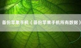 备份苹果手机（备份苹果手机所有数据）