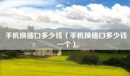 手机换插口多少钱（手机换插口多少钱一个）