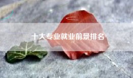 十大专业就业前景排名
