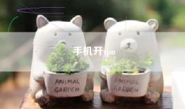 手机开vpn
