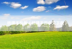 桥牌手机版（桥牌手游中文下载）