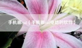 手机画cad（手机画cad电路的软件）