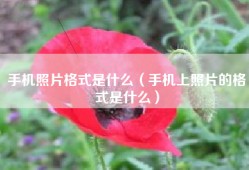 手机照片格式是什么（手机上照片的格式是什么）