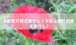 手机照片格式是什么（手机上照片的格式是什么）