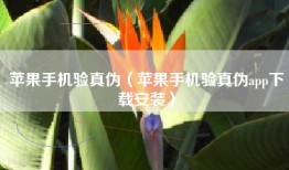 苹果手机验真伪（苹果手机验真伪app下载安装）