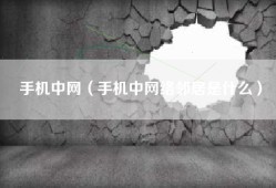 手机中网（手机中网络邻居是什么）