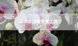 pdf文字提取免费工具？